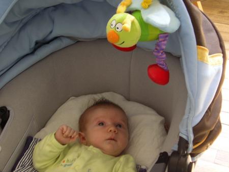 Je vous pr�sente Gaston, mon bourdon