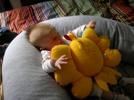 Dur, dur, d'attraper mon oiseau!