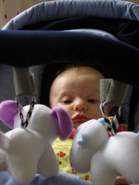 En pleine r�flexion