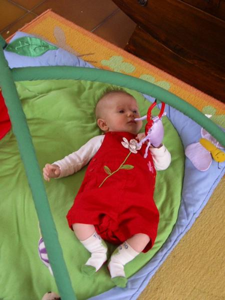 Petit �cureil rouge (comme dirait Basile)! 